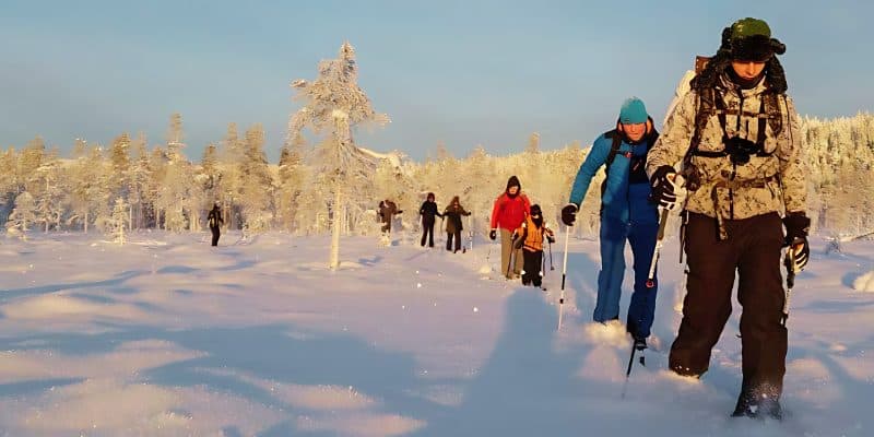 Actieve wintervakantie in Zweeds Lapland: avontuur tussen sneeuw en noorderlicht
